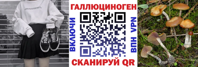Псилоцибиновые грибы ЛСД  Купить закладки  Электрогорск 